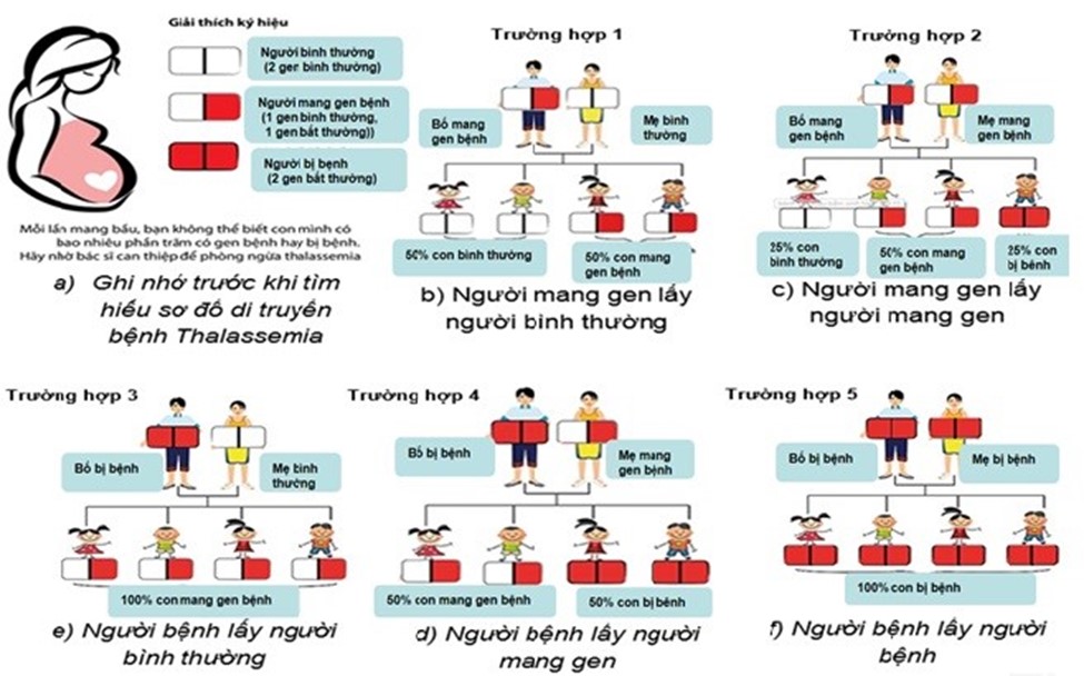 Sàng lọc mang gen bệnh tan máu bẩm sinh (Thalassemia): Đơn giản nhưng mang nhiều ý nghĩa !